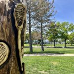 Tree carving artwork showcasing several different sports themed equipment.