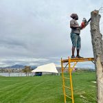 Artist Bongo Love begins to carve into a tree using a chainsaw.