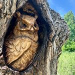 Tree carving art of an owl