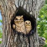 Tree carving art of two owls.