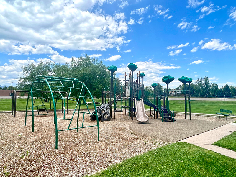 A playground with slides, climbing apparatuses, a tire swing and park bench