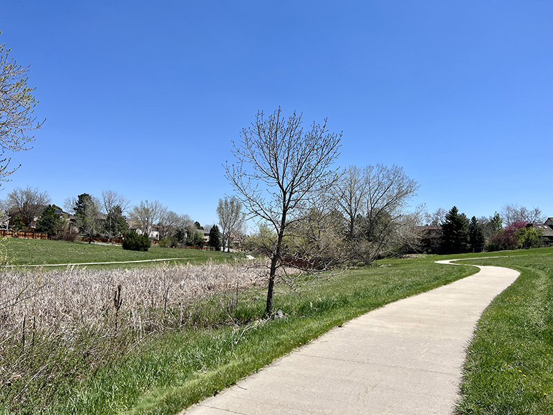 A cement trail with native grasses and trees on both sides of the trail