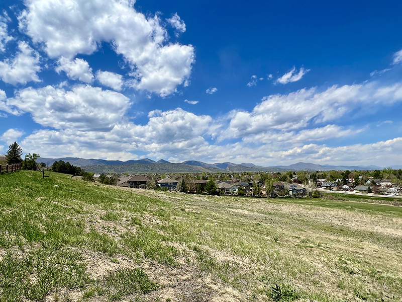 A sloped property with native grasses and views of the foothills