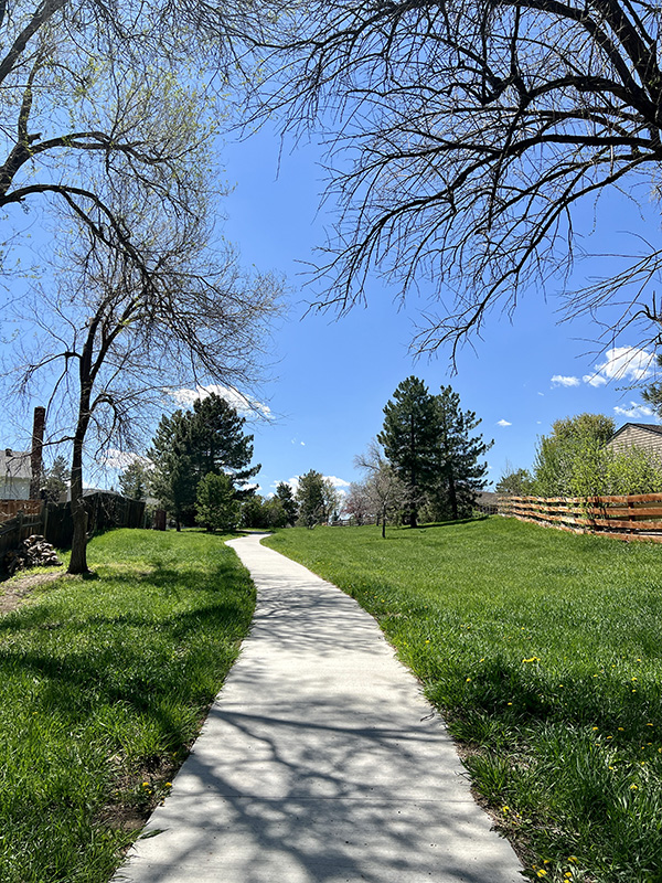 A cement trail with grass and trees on both sides of the trail