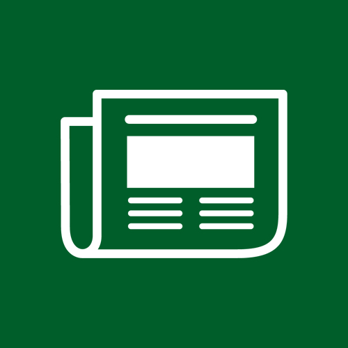 News icon