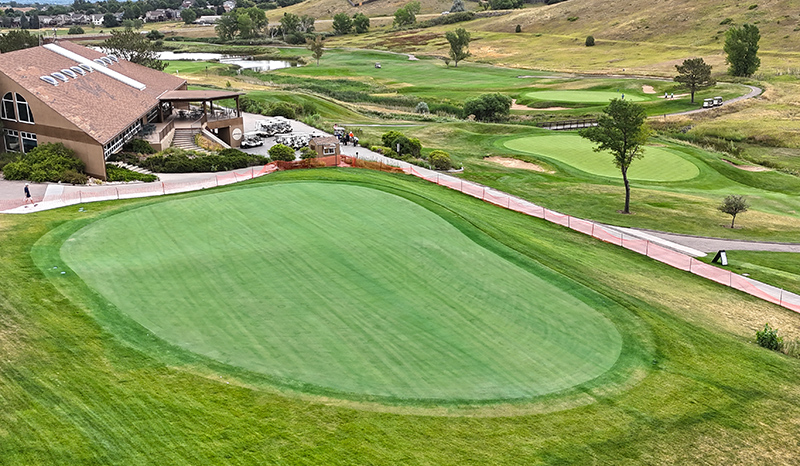 Practice putting green at Meadows Golf Club with the clubhouse and portions of the golf course in the background.